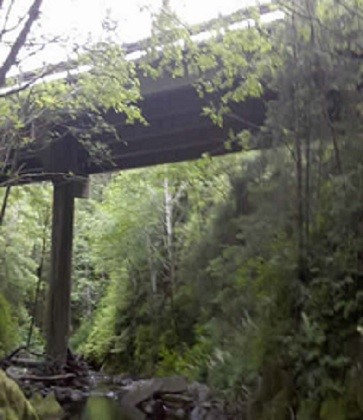 Bridge at Rescure Squad Drill